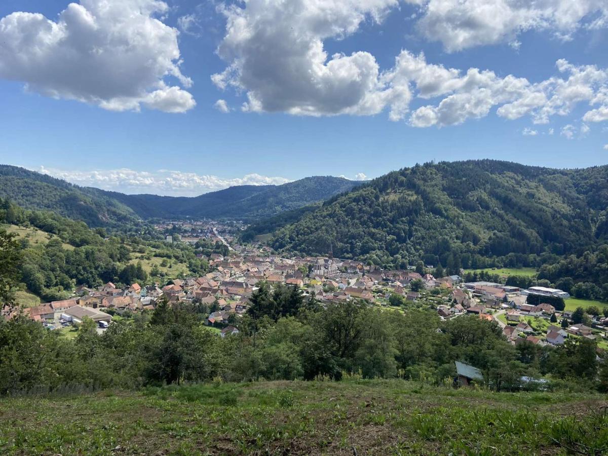 Les Noyers Du Wissbach Villa Willer-sur-Thur ภายนอก รูปภาพ