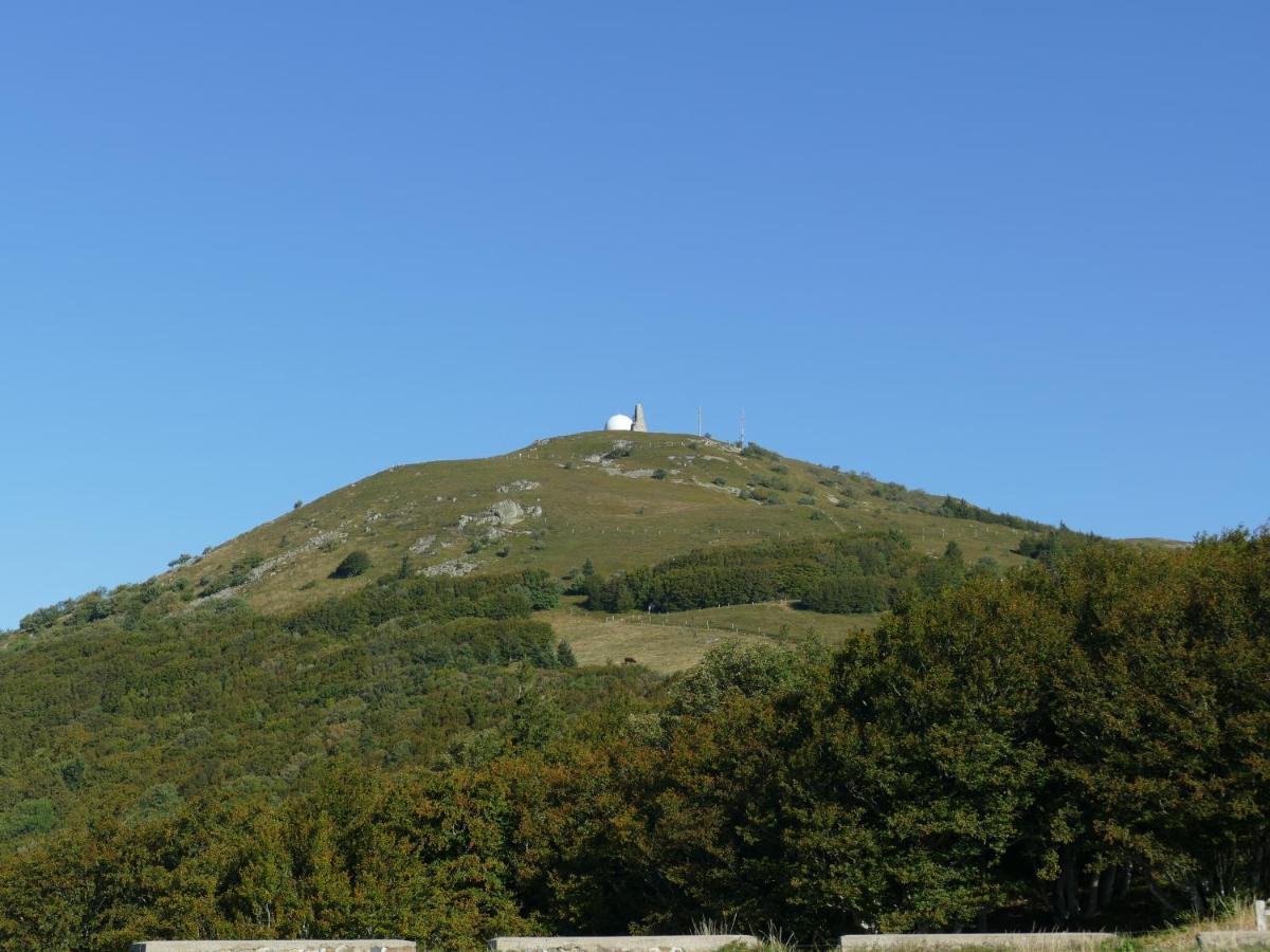 Les Noyers Du Wissbach Villa Willer-sur-Thur ภายนอก รูปภาพ
