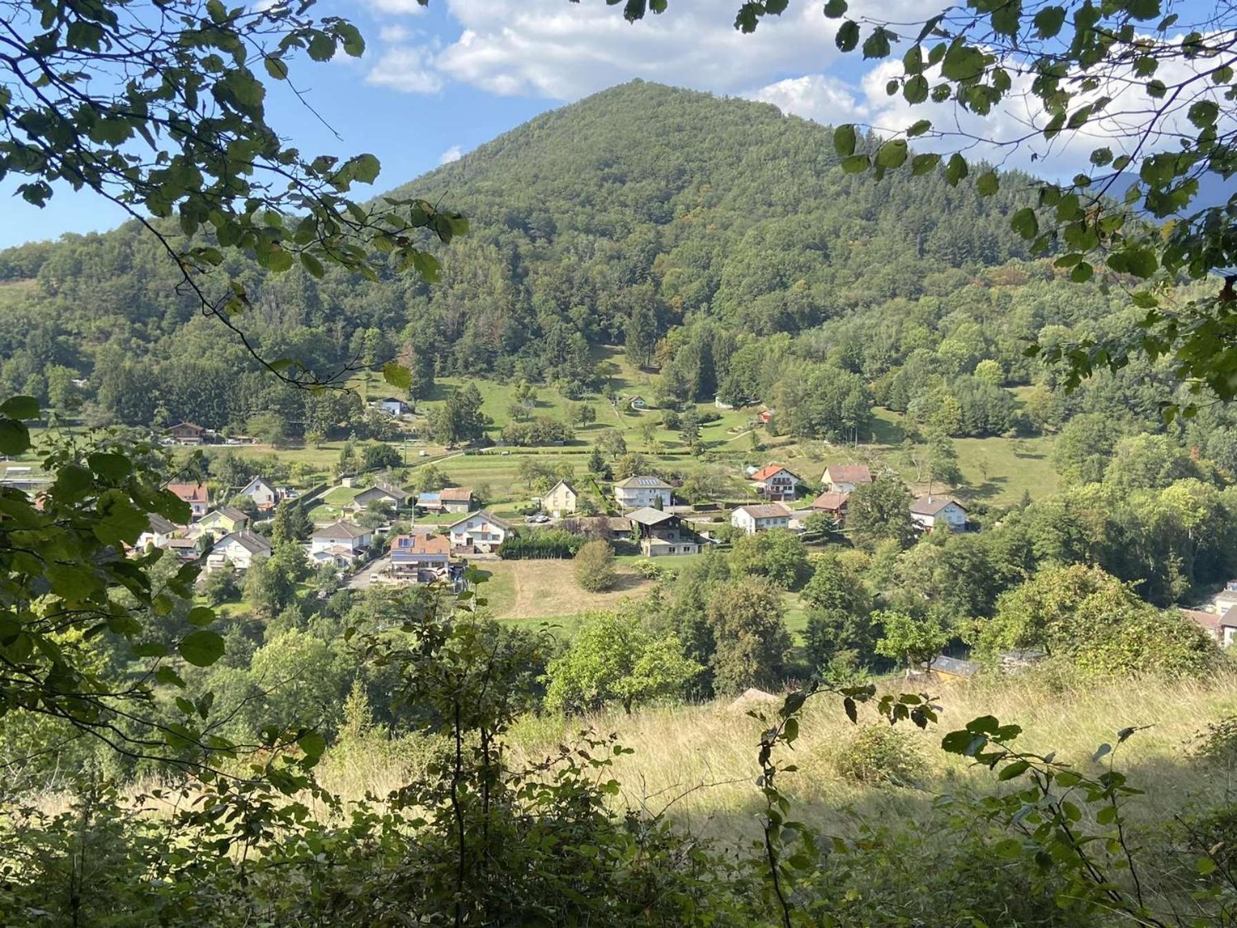 Les Noyers Du Wissbach Villa Willer-sur-Thur ภายนอก รูปภาพ