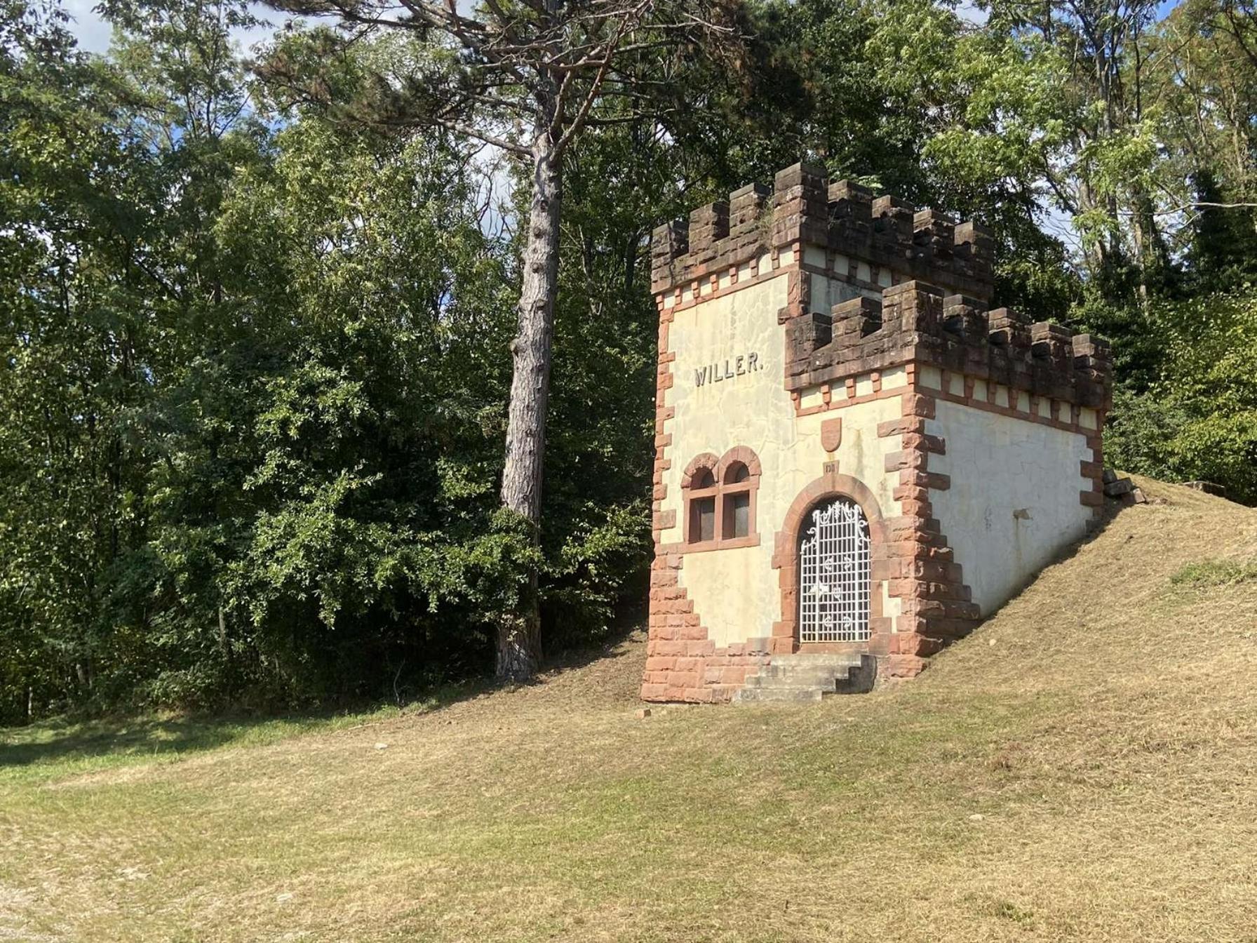 Les Noyers Du Wissbach Villa Willer-sur-Thur ภายนอก รูปภาพ
